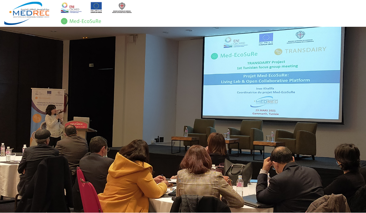 Med-EcoSuRe and TRANSDAIRY set up approaches boosting Innovation and co-creation in the Mediterranean