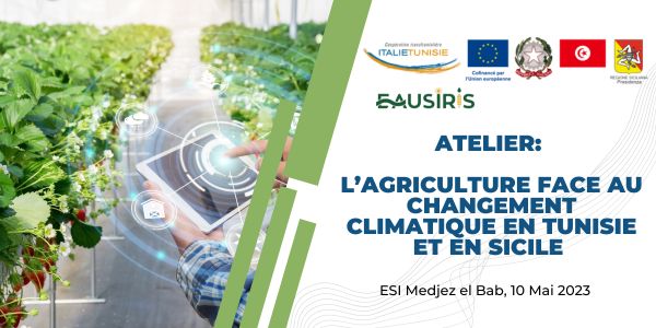 EAUSIRIS organise un atelier autour de l’agriculture face au changement climatique en Tunisie et en Sicile